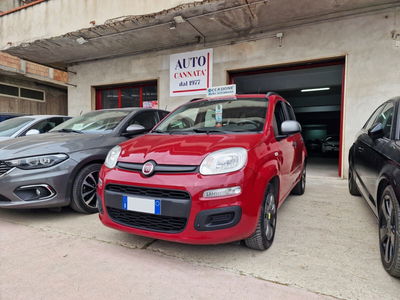 Fiat Panda 1.2 Young usata