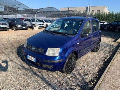 Fiat Panda 1.2 Alessi usata