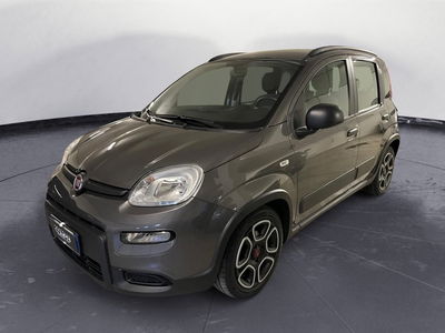 Fiat Panda 1.0 FireFly S&S Hybrid City Cross usata