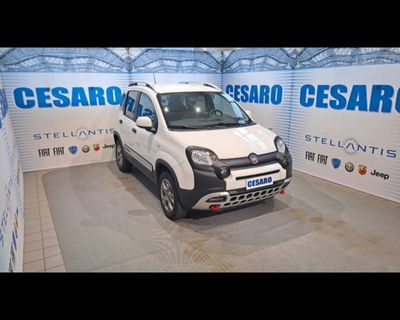 Fiat Panda Cross Cross 0.9 TwinAir Turbo S&S 4x4 usata