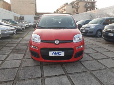 Fiat Panda 1.0 firefly hybrid s&s 70cv 5p.ti usata