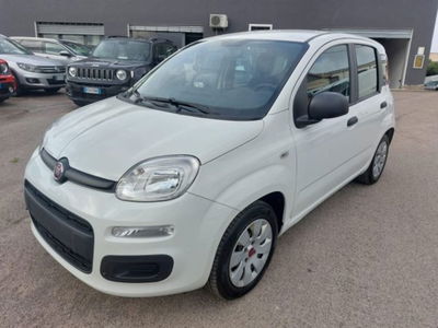 Fiat Panda 1.2 Easy usata