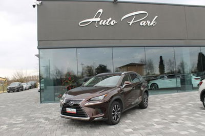 Lexus NX Hybrid usata