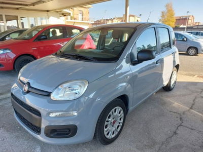 Fiat Panda 1.0 firefly hybrid s&s 70cv 5p.ti usata