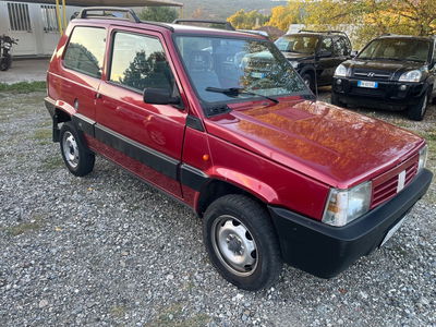 Fiat Panda 1100 i.e. cat 4x4 Country Club usata