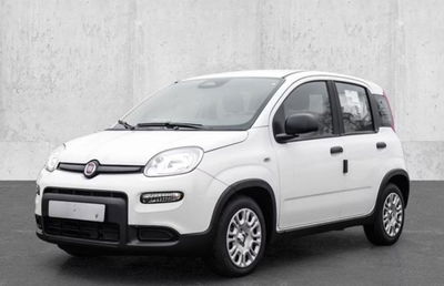Fiat Panda 1.0 firefly hybrid s&s 70cv nuova