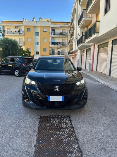 Peugeot 2008 PureTech 130 S&S Active (2)