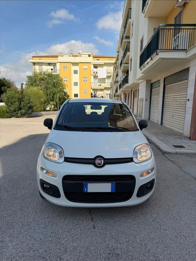 Fiat Panda 1.2 Easy usata