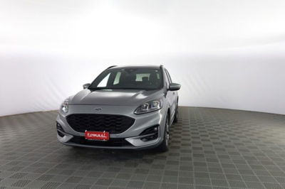Ford Kuga 1.5 EcoBlue 120 CV 2WD ST-Line usata