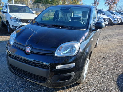 Fiat Panda 1.0 FireFly S&S Hybrid nuova