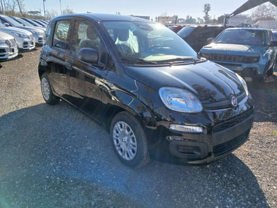 Fiat Panda 1.0 FireFly S&S Hybrid (2)