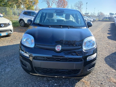 Fiat Panda 1.0 FireFly S&S Hybrid (3)
