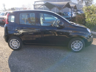 Fiat Panda 1.0 FireFly S&S Hybrid (4)