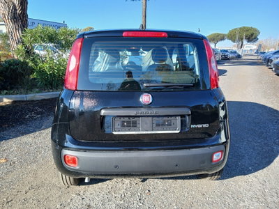Fiat Panda 1.0 FireFly S&S Hybrid (6)