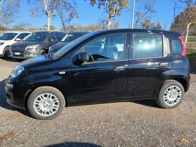 Fiat Panda 1.0 FireFly S&S Hybrid (8)