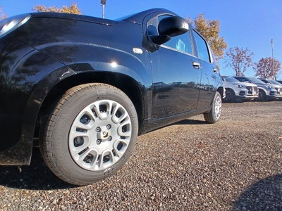 Fiat Panda 1.0 FireFly S&S Hybrid (9)