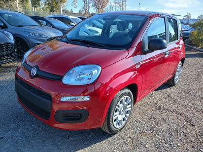 Fiat Panda 1.0 FireFly S&S Hybrid nuova