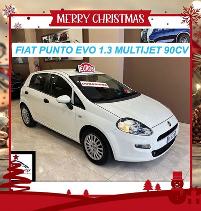 Fiat Punto 1.3 MJT II S&S 95 CV 5 porte Street usata