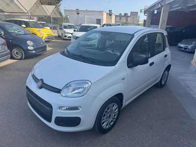 Fiat Panda 1.2 Easy usata