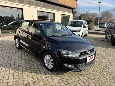 Volkswagen Polo 1.2 TDI DPF 5 p. Comfortline usata