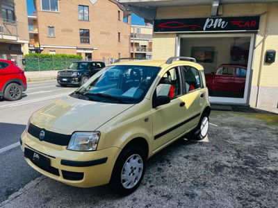 Fiat Panda 1.2 4x4 usata