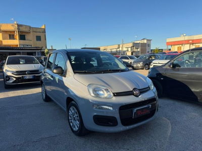 Fiat Panda 1.0 firefly hybrid s&s 70cv 5p.ti usata
