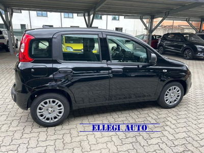 Fiat Panda 1.0 firefly hybrid s&s 70cv 5p.ti nuova