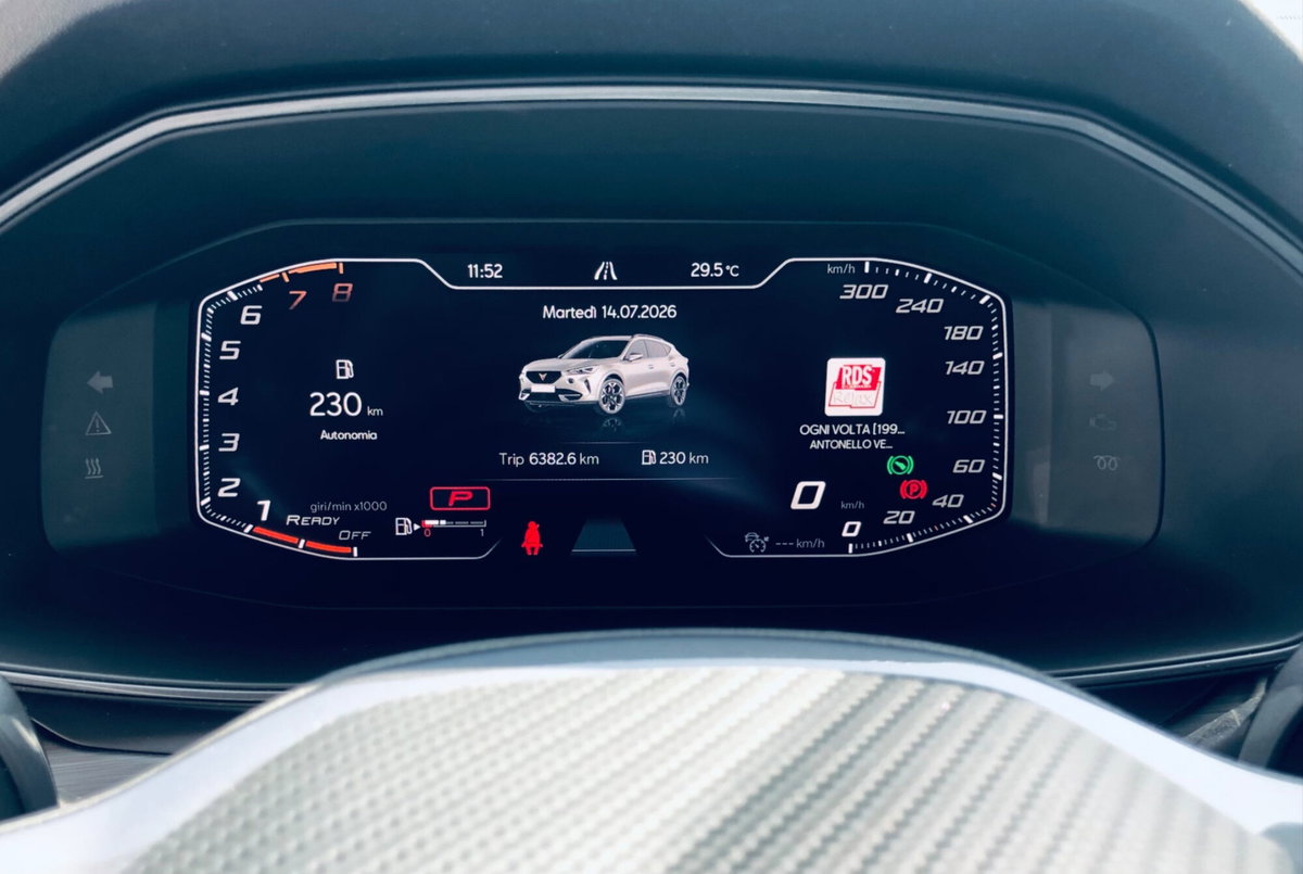 Cupra Formentor Formentor 1.5 TSI (13)