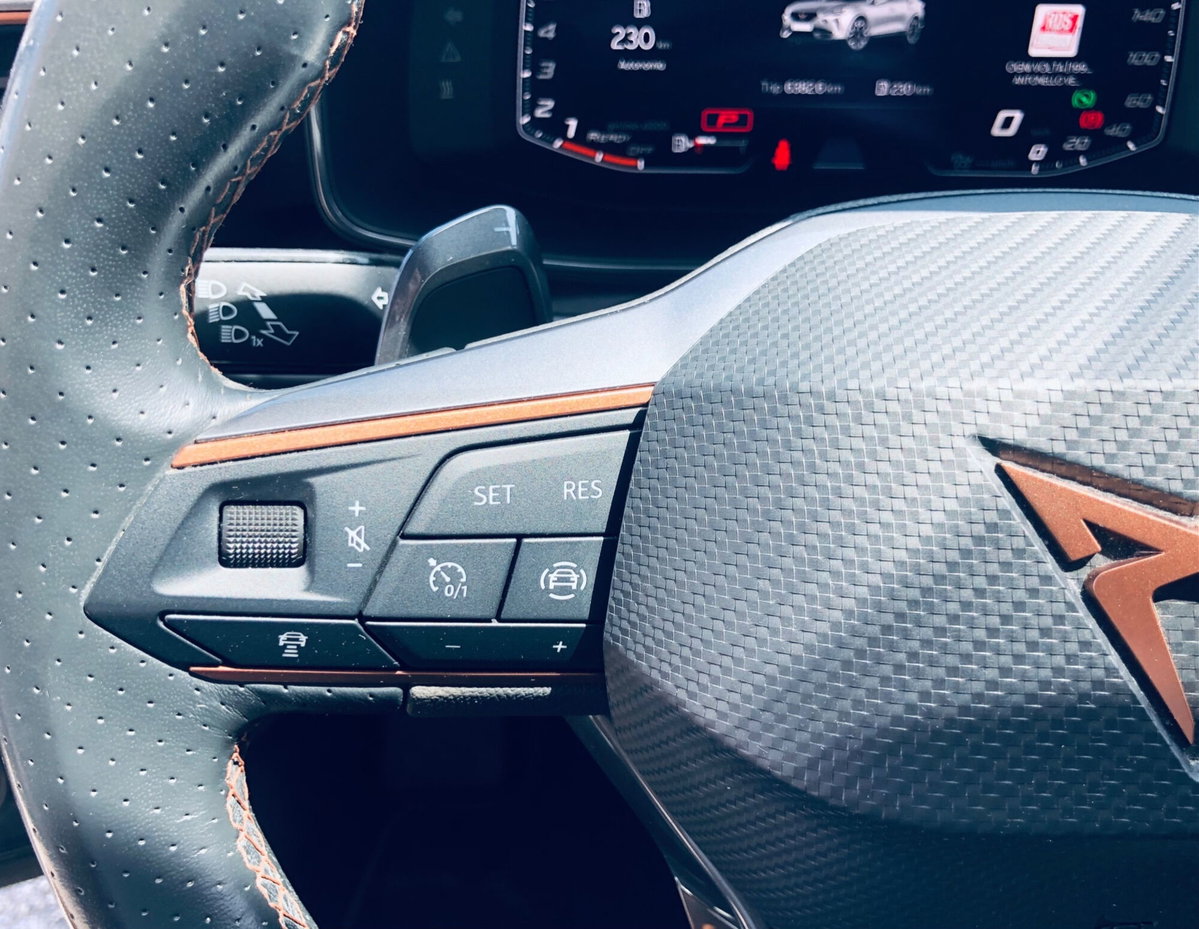 Cupra Formentor Formentor 1.5 TSI (15)