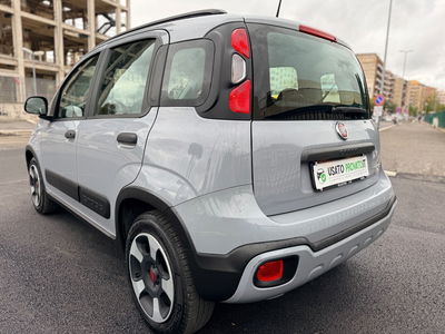 Fiat Panda 1.0 FireFly S&S Hybrid City Cross usata