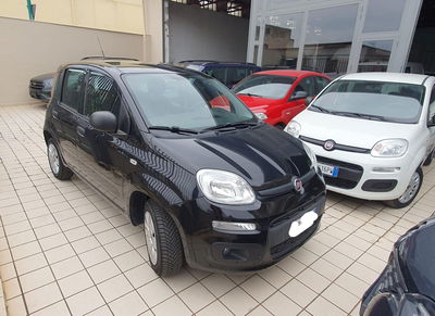 Fiat Panda 1.2 Pop usata