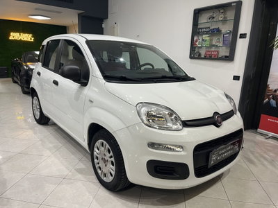 Fiat Panda 1.2 Easy (3)