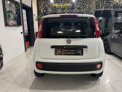 Fiat Panda 1.2 Easy (5)