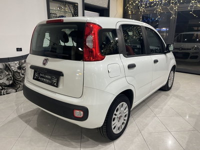 Fiat Panda 1.2 Easy (6)