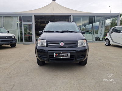 Fiat Panda 1.3 MJT 16V 4x4 usata