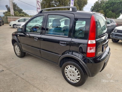 Fiat Panda 1.3 MJT 16V 4x4 (4)
