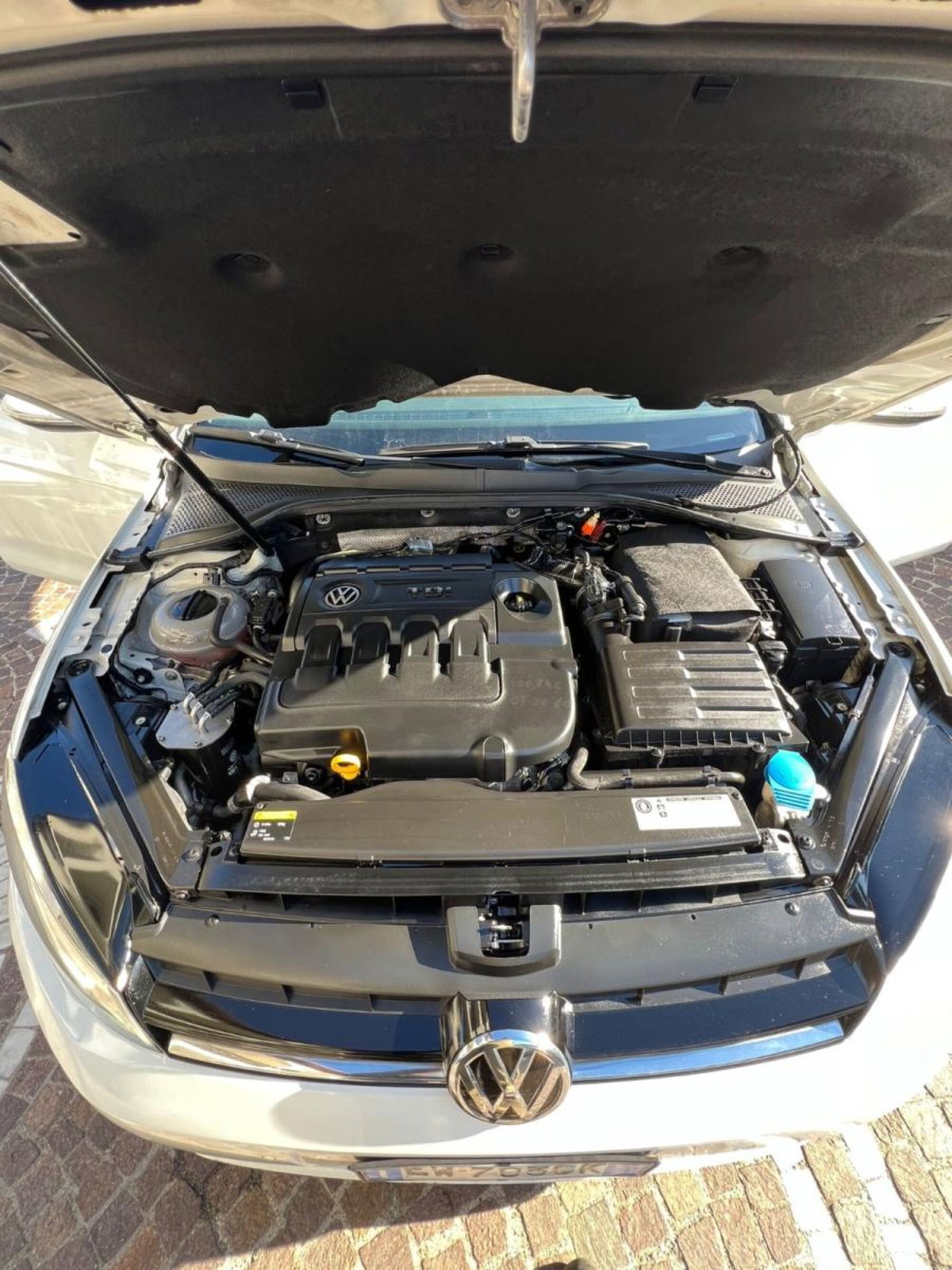 Volkswagen Golf 1.6 BlueTDI 110 CV 5p. Trendline (5)