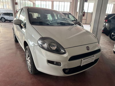 Fiat Punto 1.4 8V 5 porte Natural Power Lounge usata