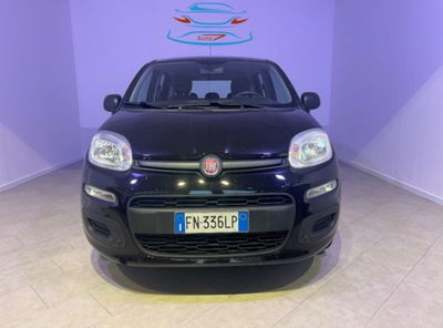 Fiat Panda 1.2 Lounge usata
