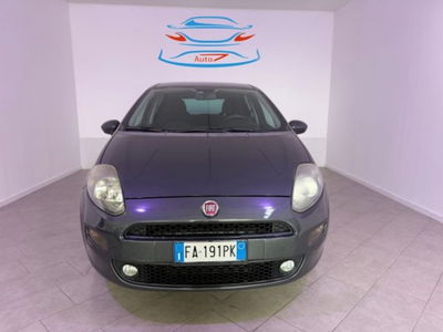Fiat Punto 1.3 MJT II S&S 85 CV 5 porte ECO Lounge usata