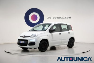 Fiat Panda 1.2 EasyPower Easy usata