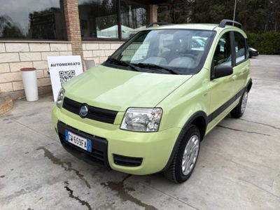Fiat Panda 1.2 4x4 usata