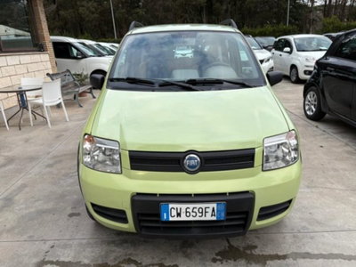 Fiat Panda 1.2 4x4 (2)