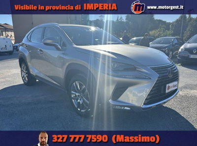 Lexus NX Hybrid 4WD Business usata