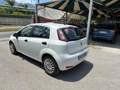 Fiat Punto 1.4 8V 5 porte Easypower Street (5)