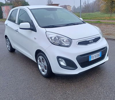 Kia Picanto 1.0 12V EcoGPL 5 porte Cool usata