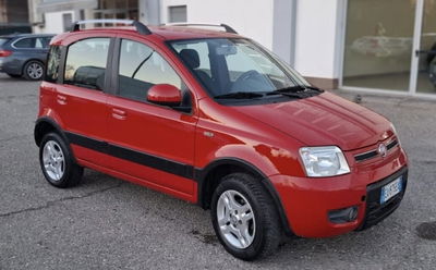 Fiat Panda 1.2 Natural Power Van Active 2 posti usata