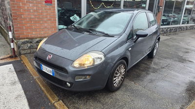Fiat Punto 1.3 MJT II 75 CV 3 porte Street usata