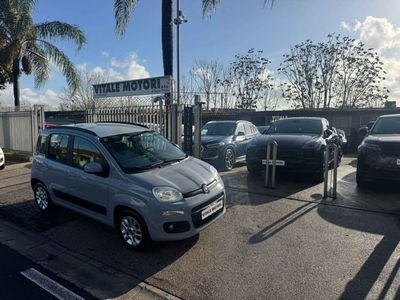 Fiat Panda 1.3 MJT 95 CV S&S Lounge usata