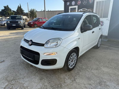 Fiat Panda 1.2 Lounge usata